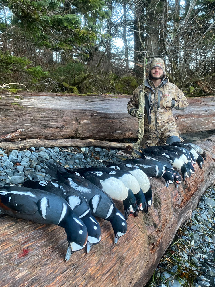 Alaska Wildfowl Harlequin Duck Hunts