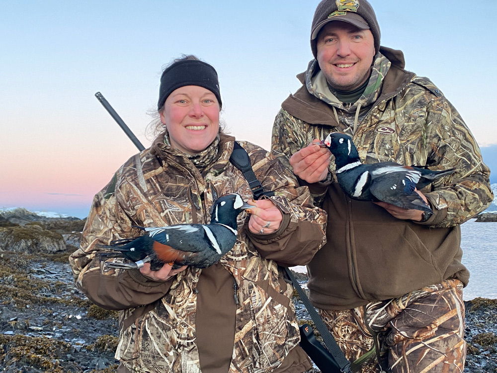 Harlequin Duck Hunting In Alaska