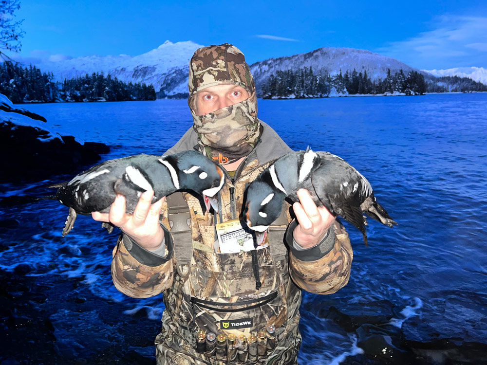 Harlequin Hunts In Alaska