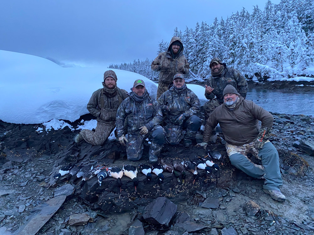 Merganser Hunting In Alaska