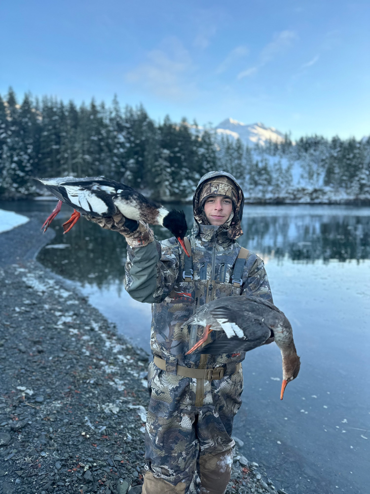 Merganser Hunting In Whittier Alaska