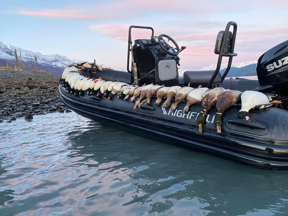 Hunt For Ducks In Alaska