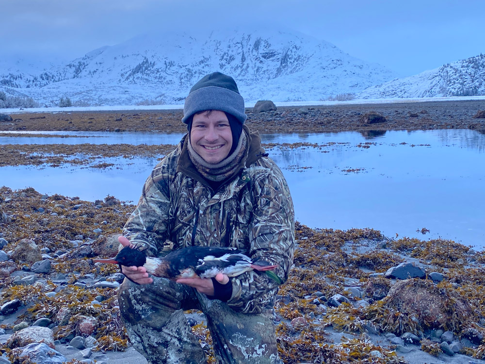 Red Breasted Merganser on Alaska Sea Duck Hunts